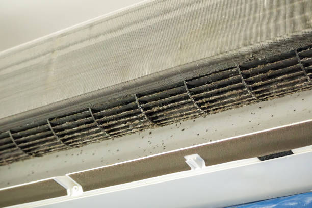 Best Air Duct Cleaning Near Me  in Williamsburg, OH